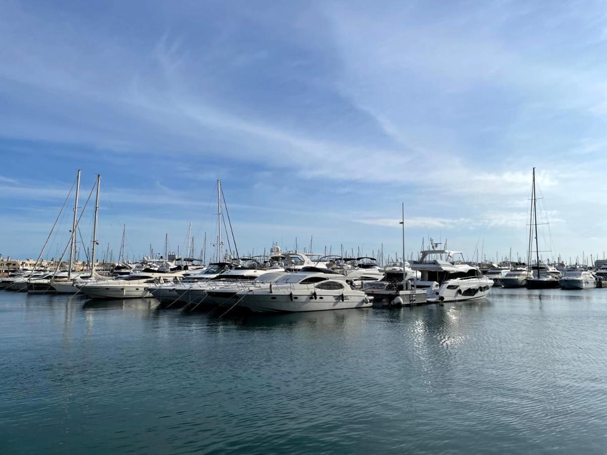 Haroldo Parres 17 Apartment Alicante Ngoại thất bức ảnh